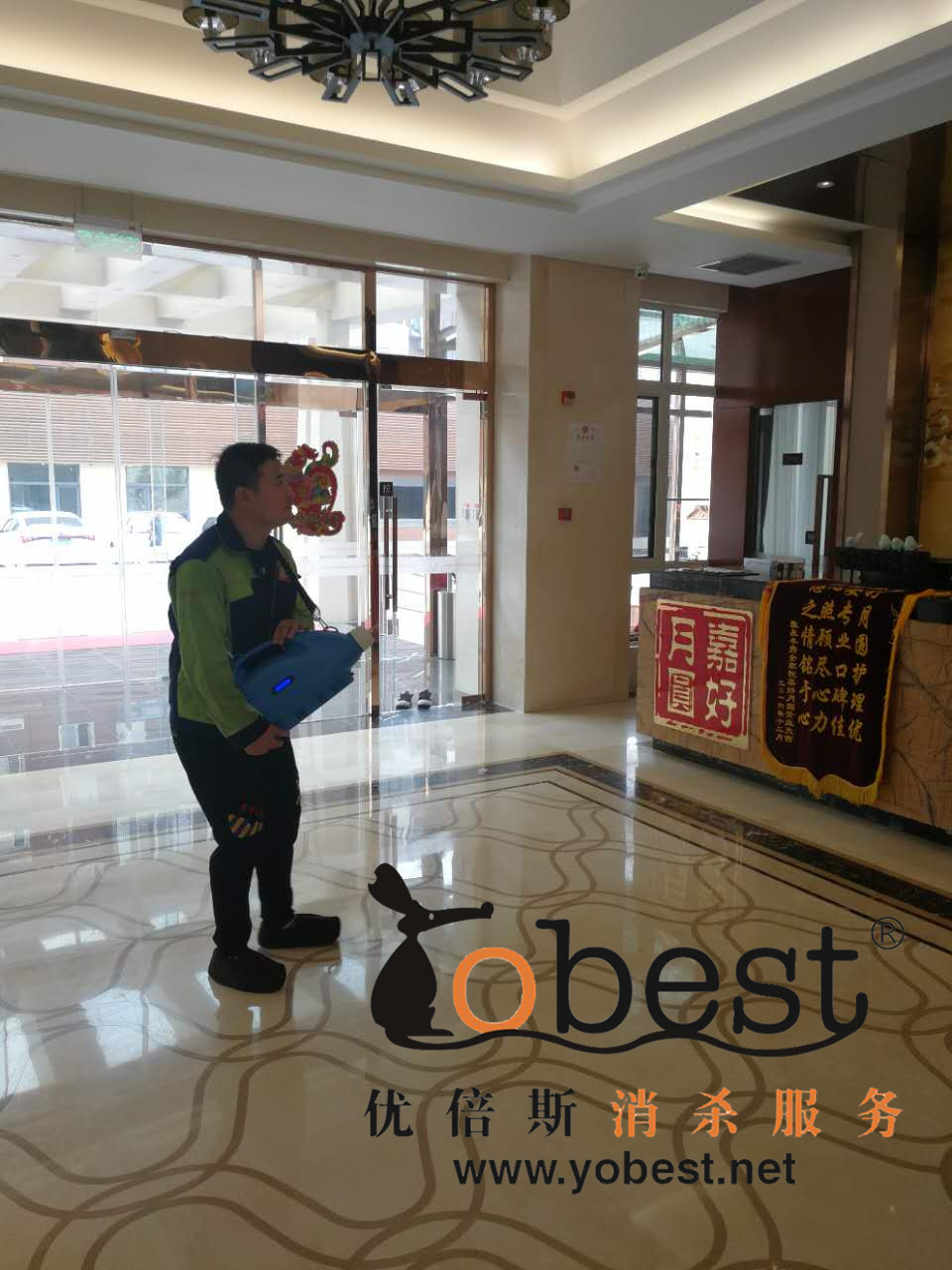成功案例