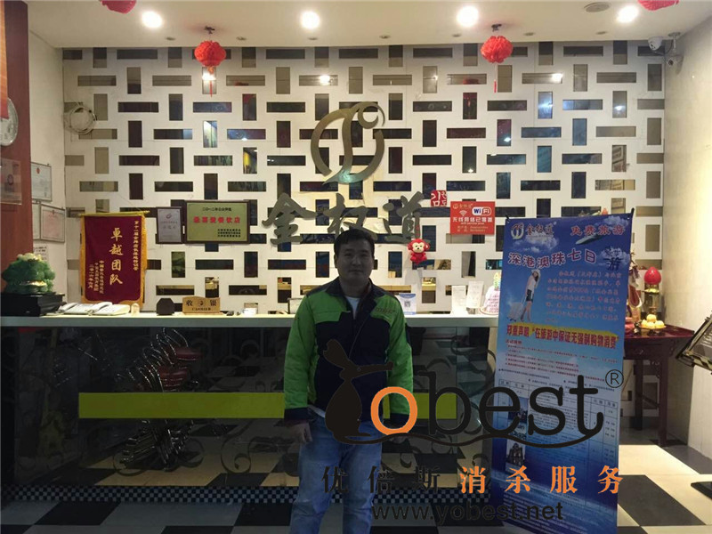 成功案例