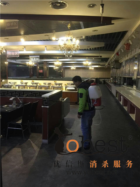 成功案例