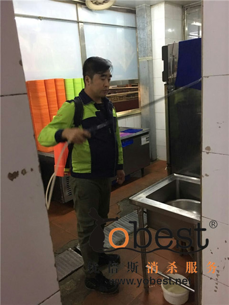 成功案例