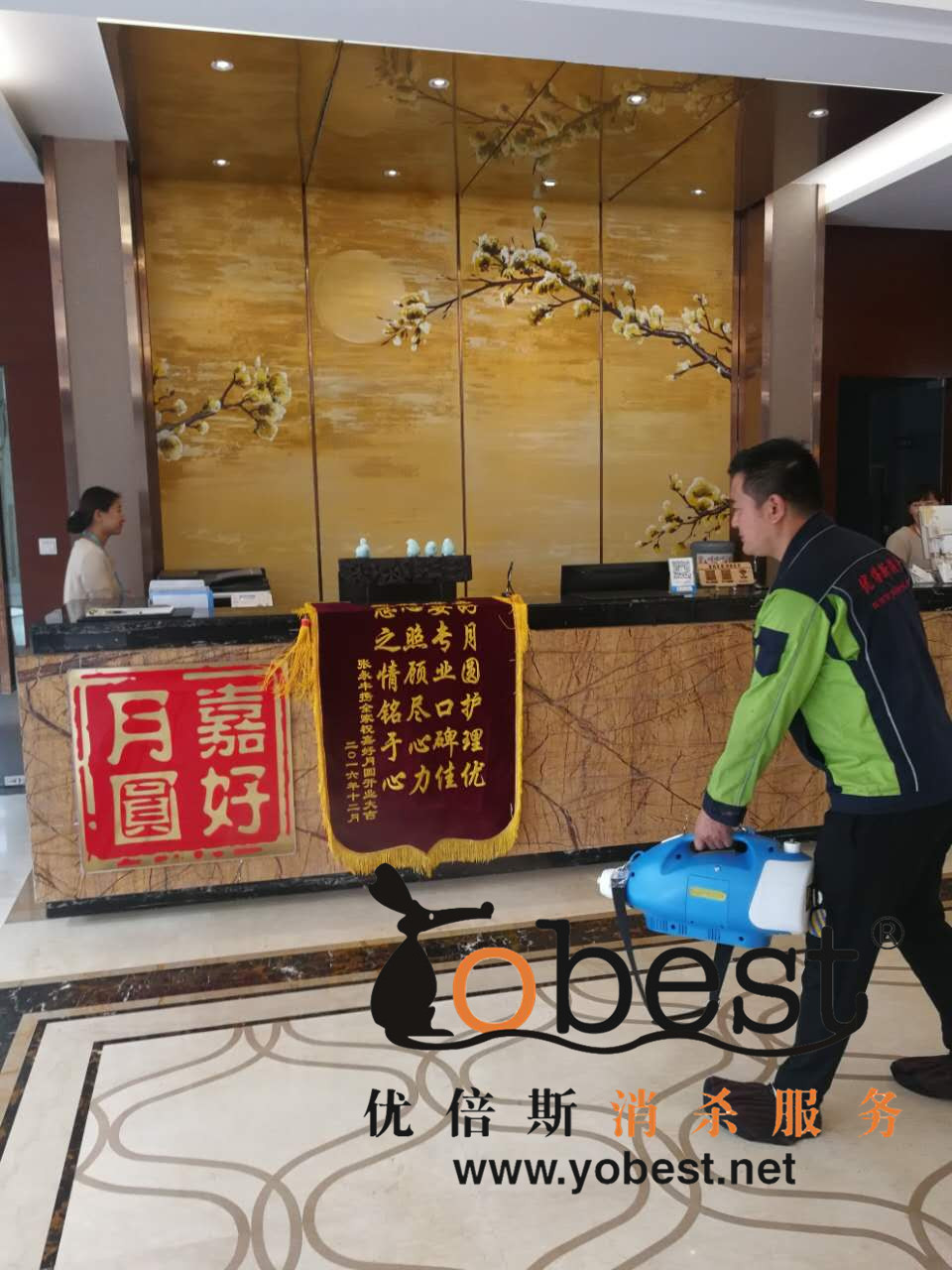 成功案例