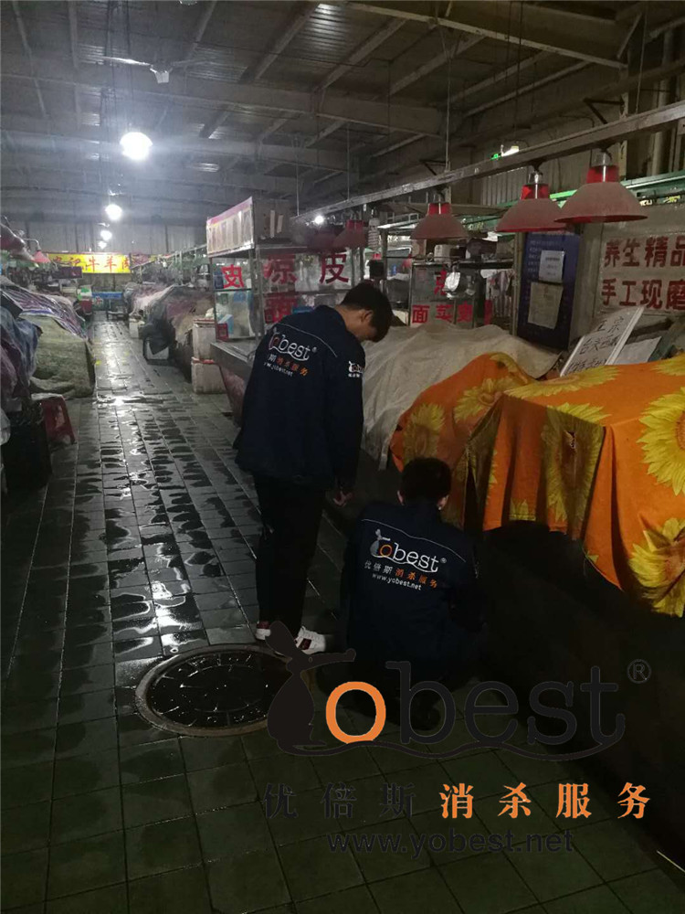 成功案例