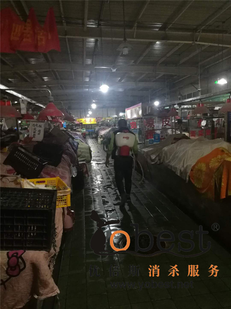 成功案例