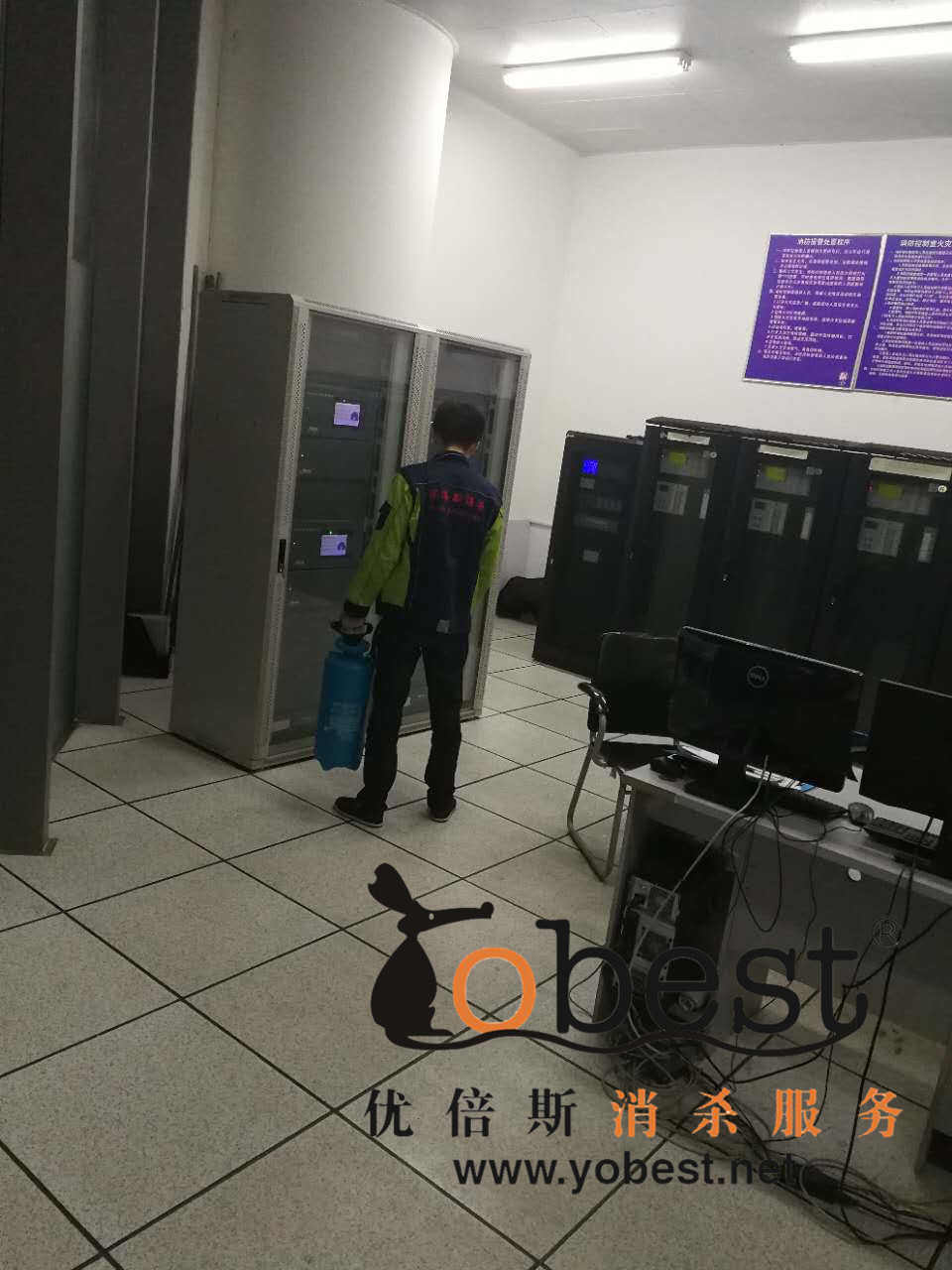 成功案例