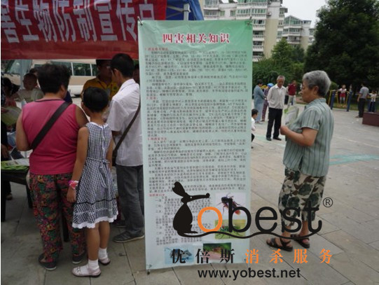 成功案例