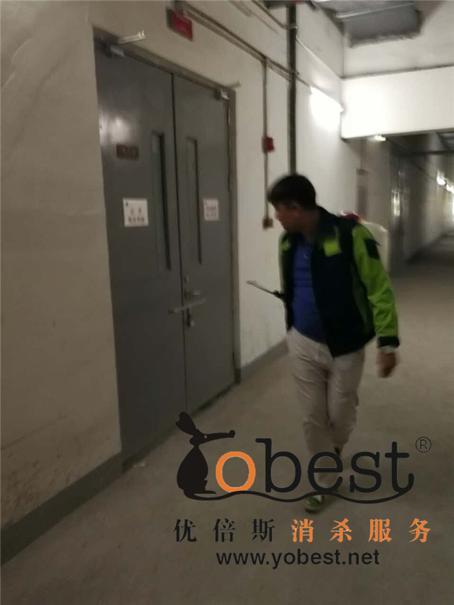成功案例