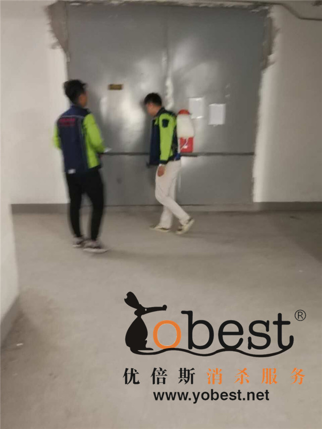成功案例