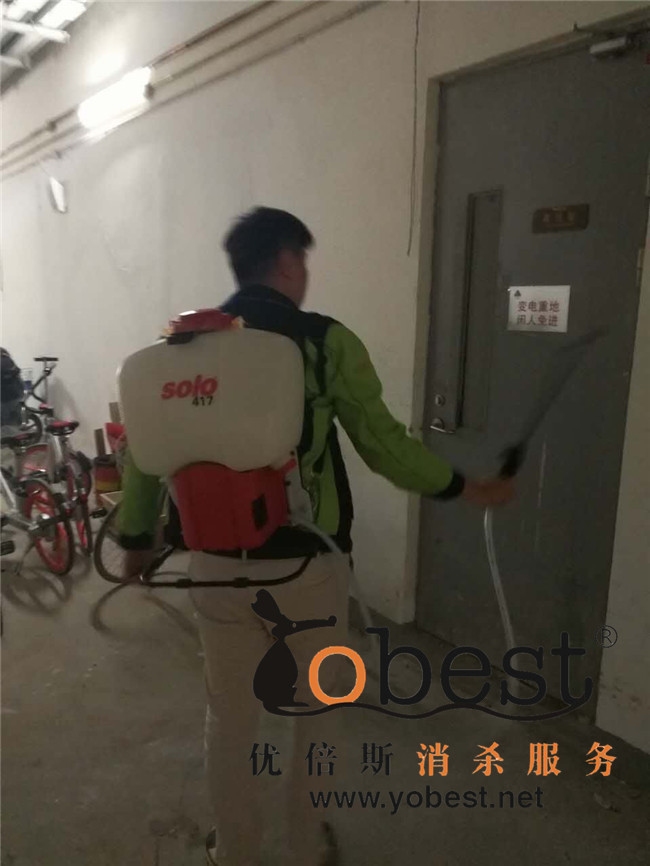 成功案例