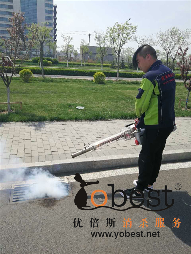 成功案例