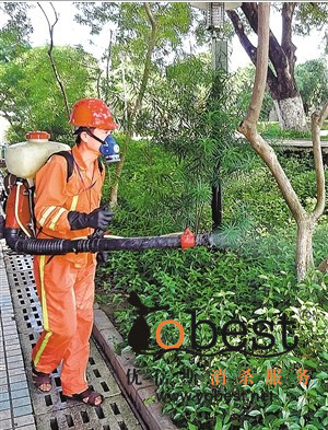 成功案例