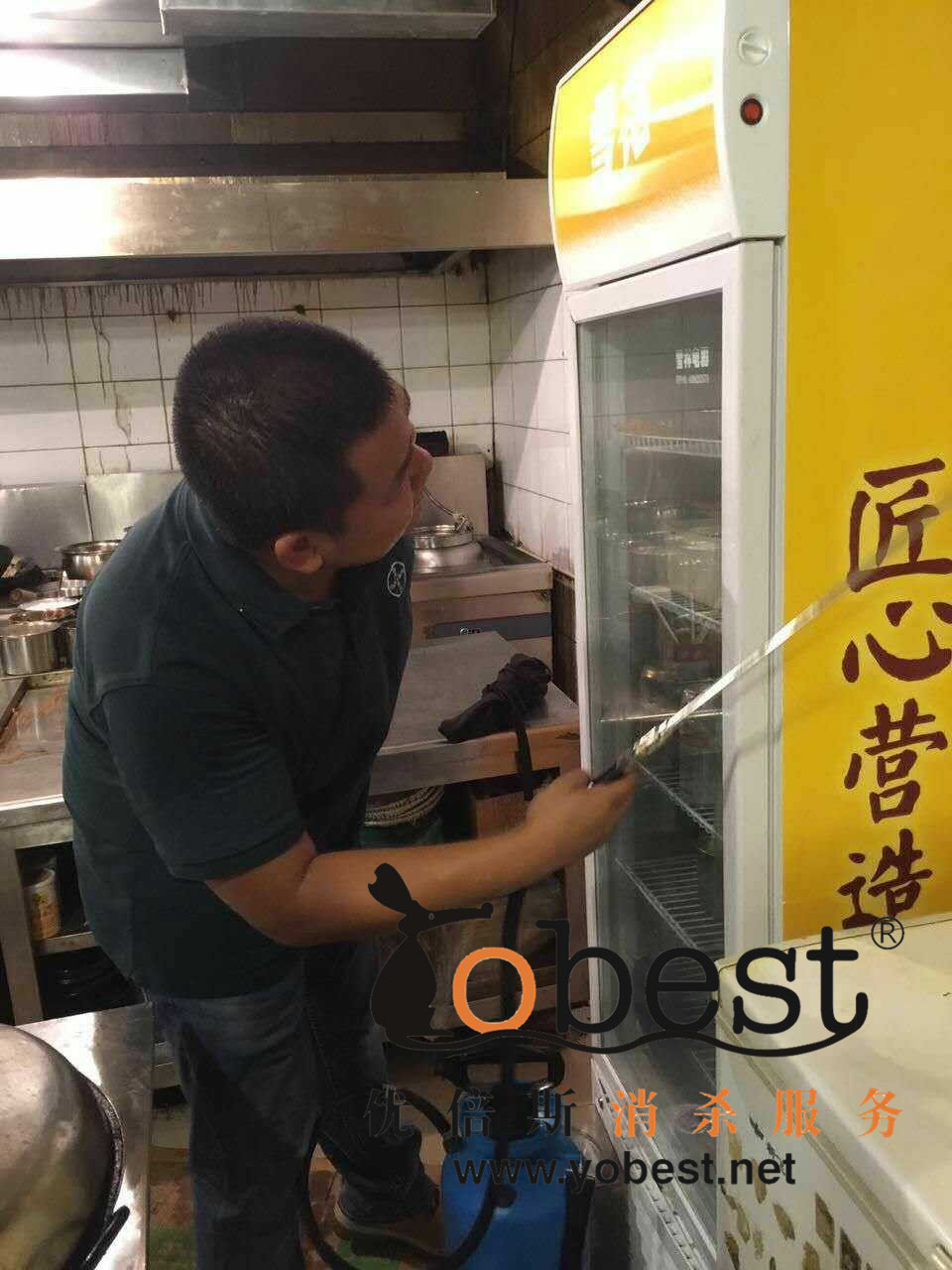 成功案例