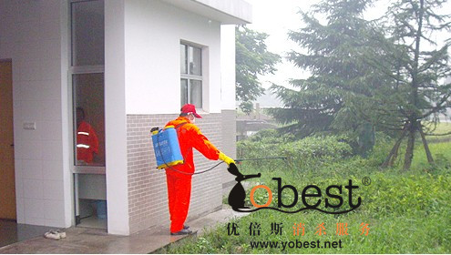 成功案例