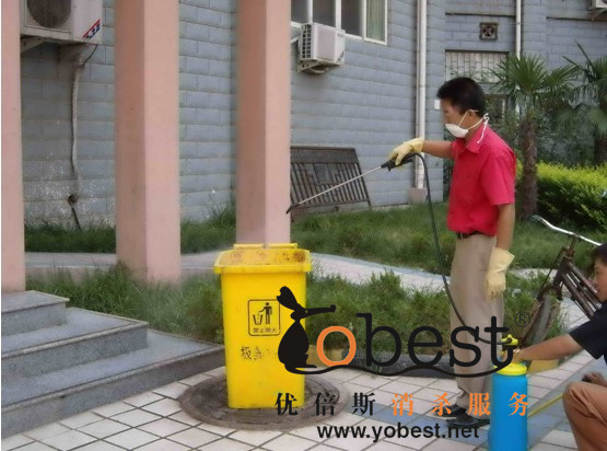 成功案例