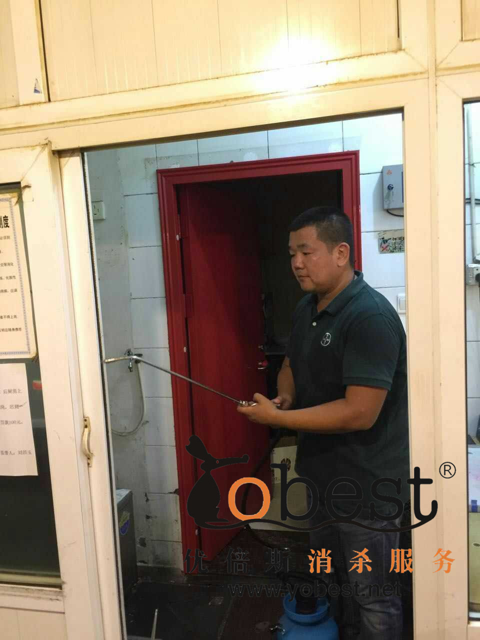 成功案例