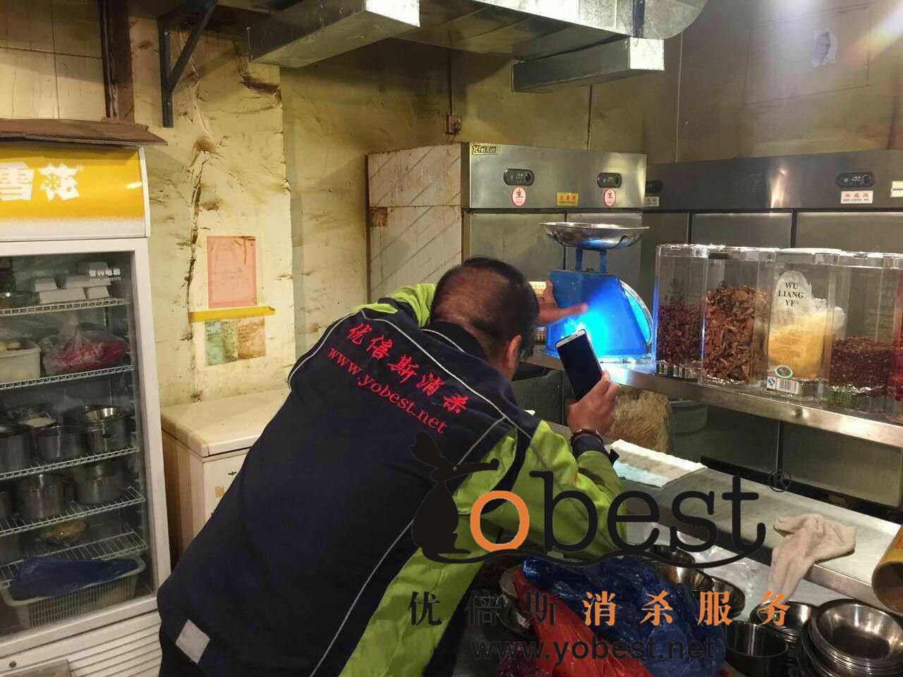 成功案例