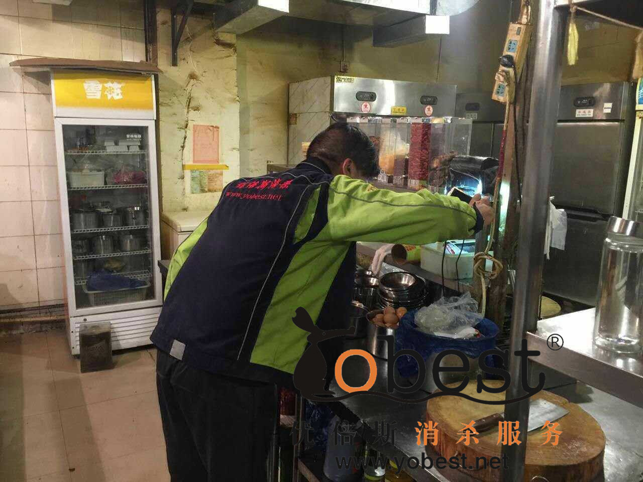 成功案例