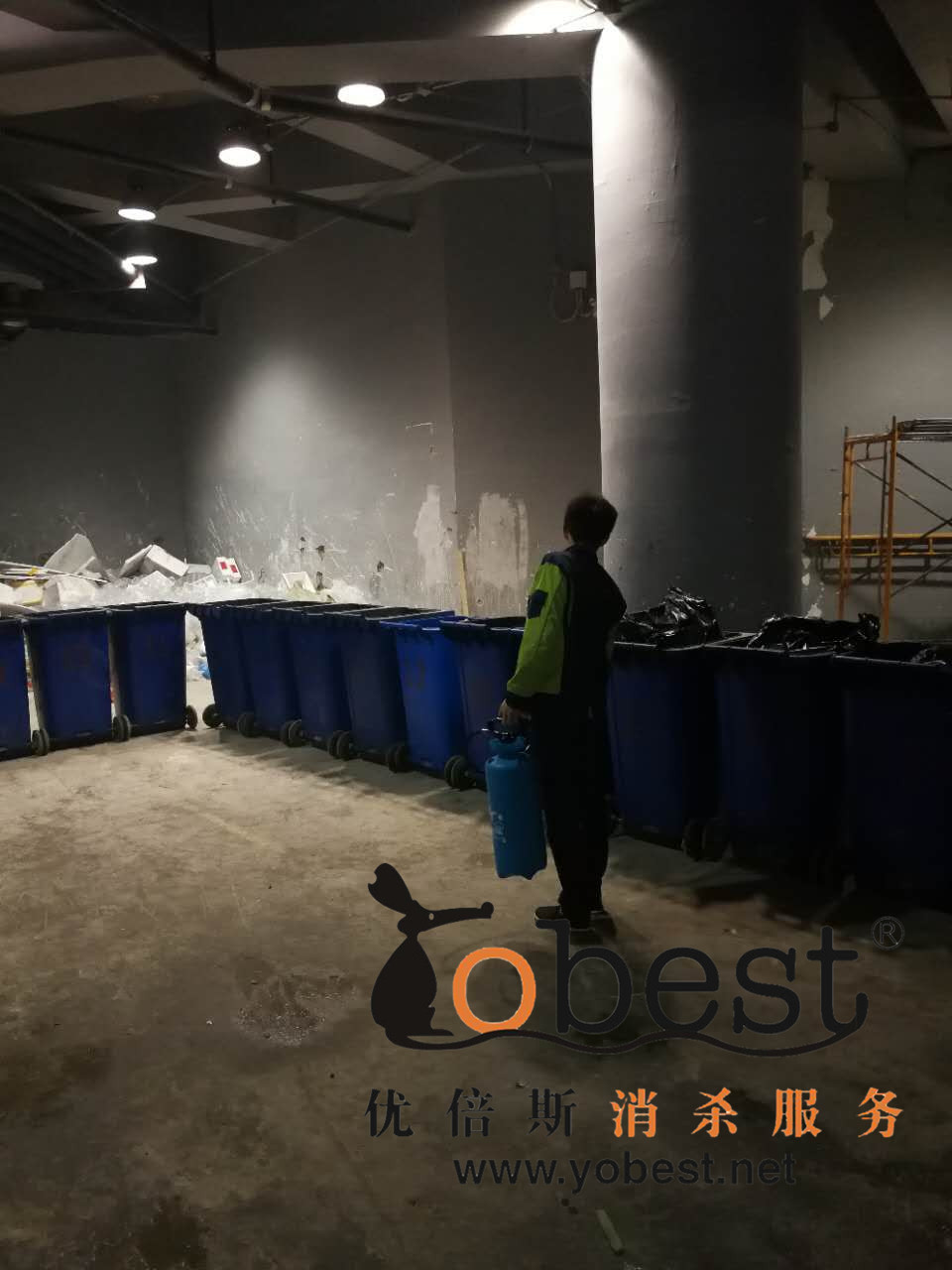 成功案例