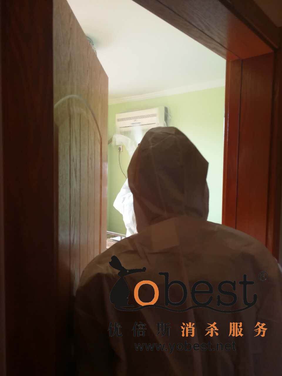 成功案例