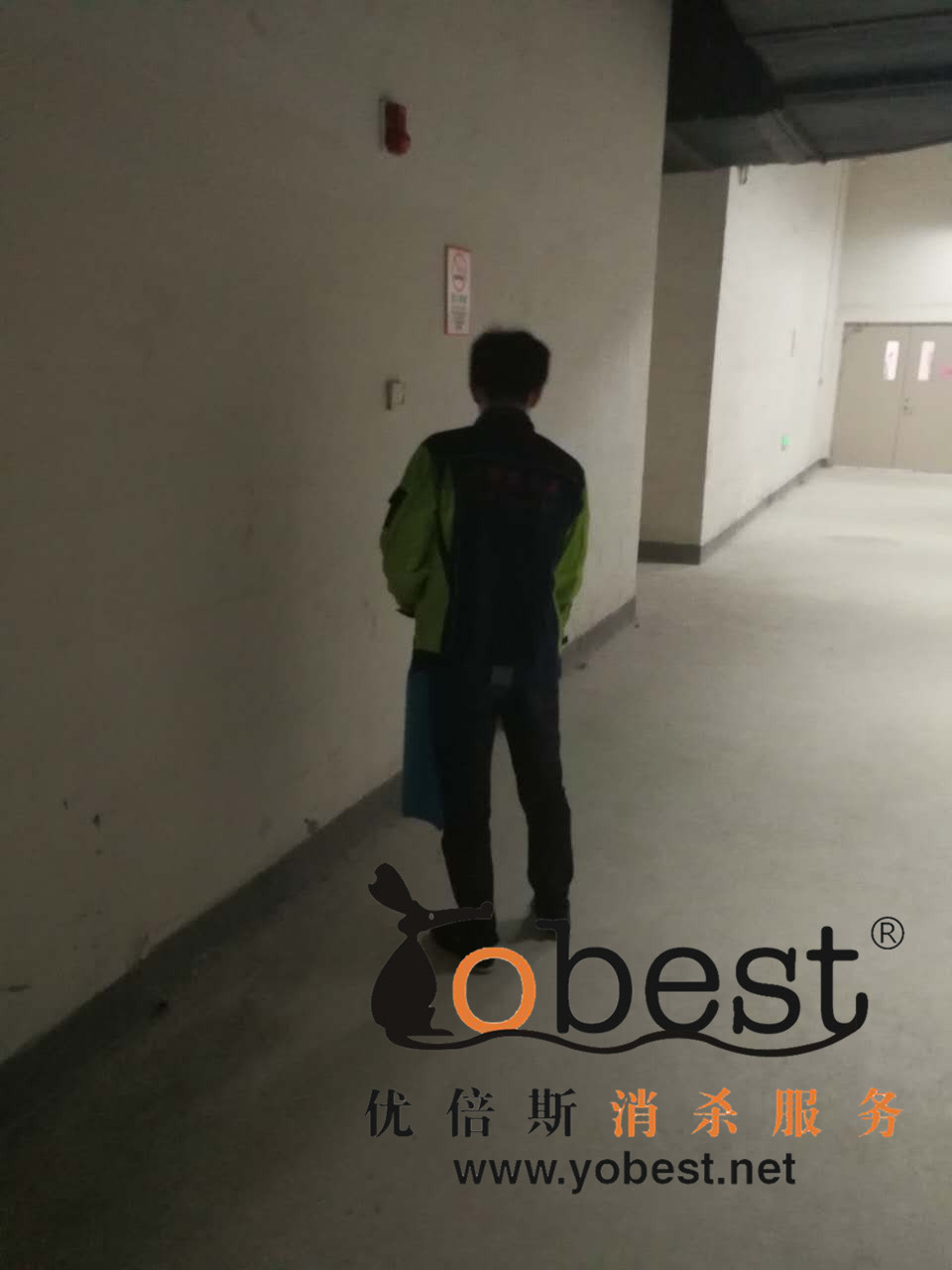 成功案例