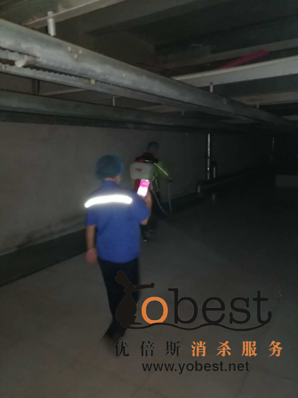 成功案例