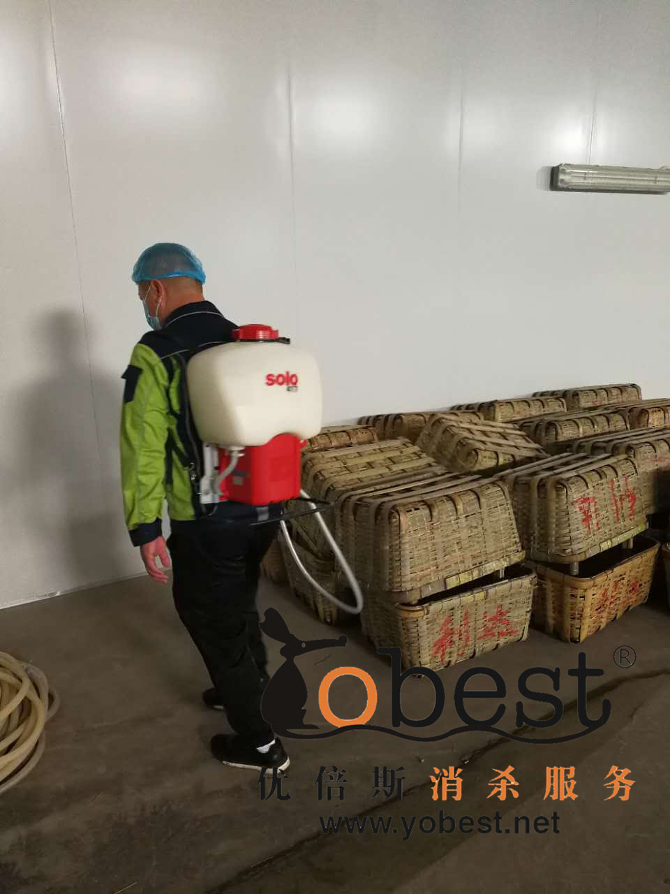 成功案例