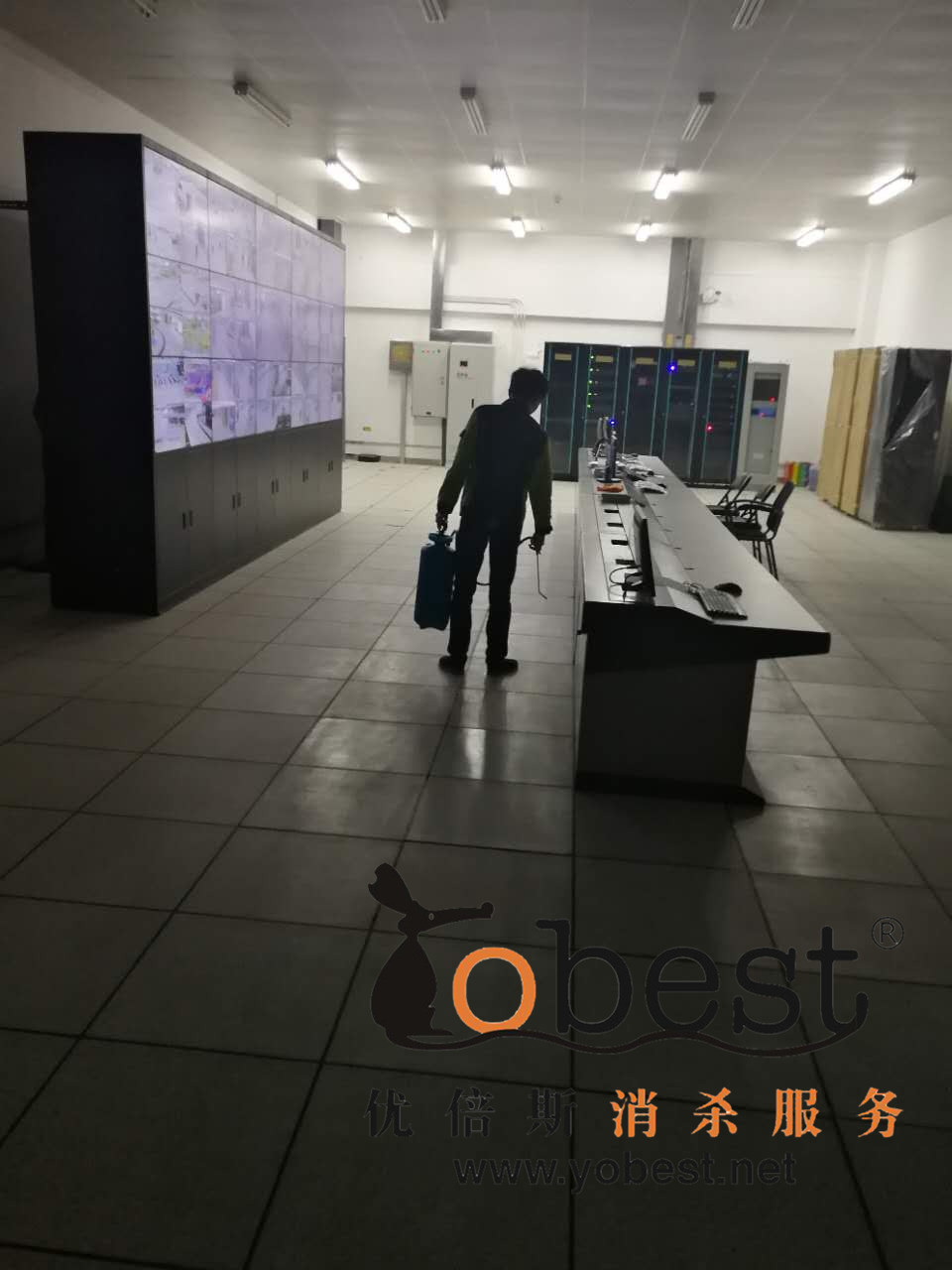 成功案例