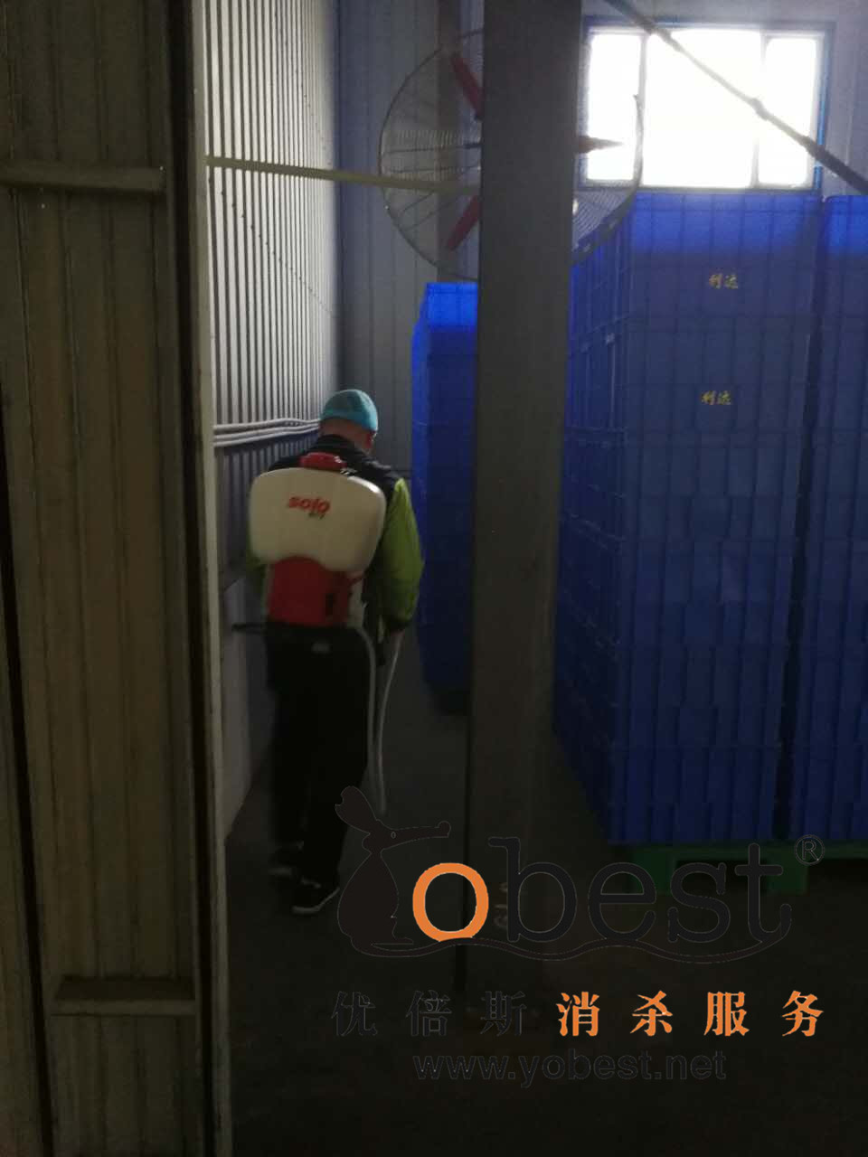 成功案例