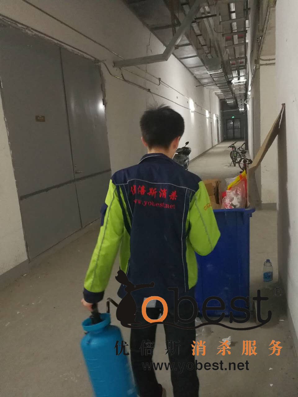 成功案例