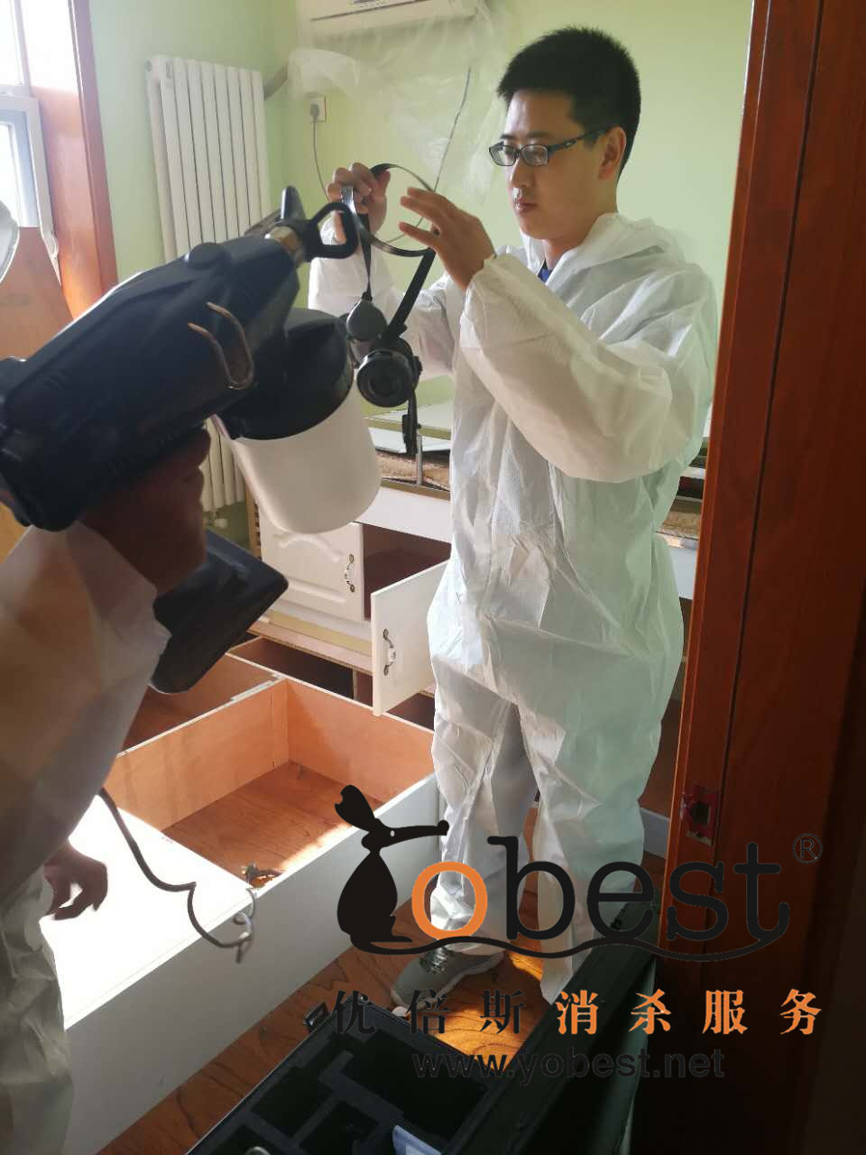 成功案例