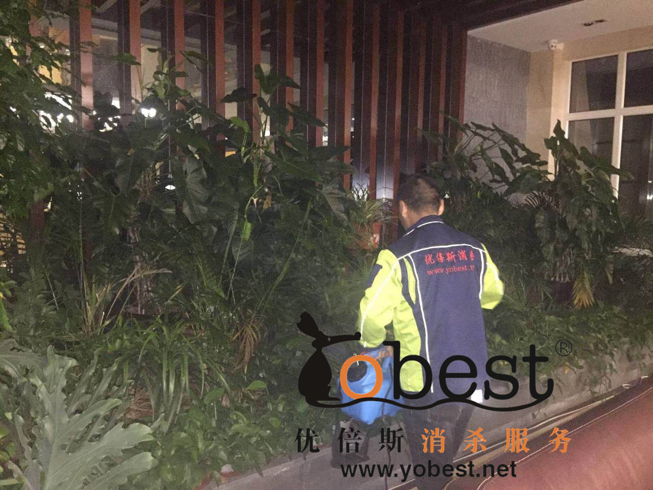 成功案例