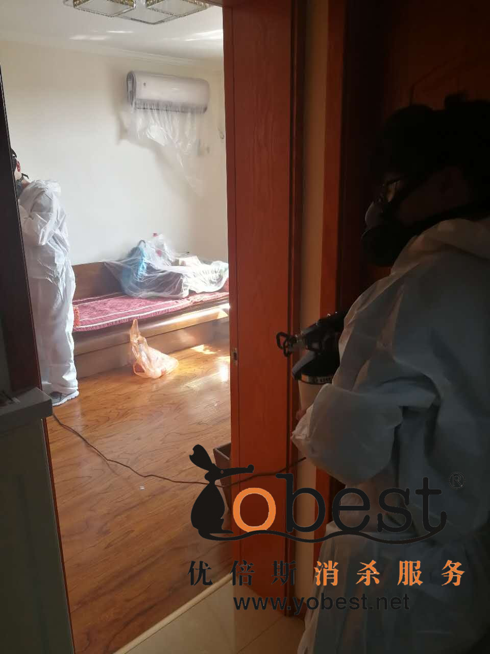 成功案例