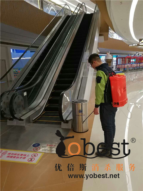 成功案例