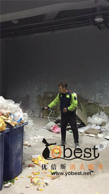 成功案例