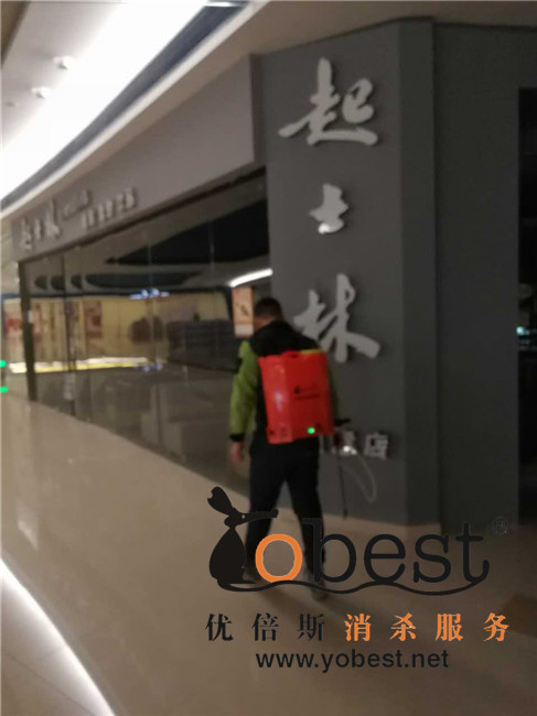 成功案例