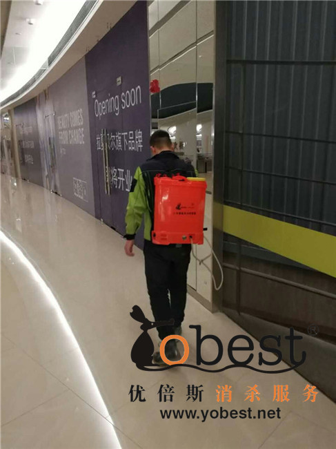 成功案例