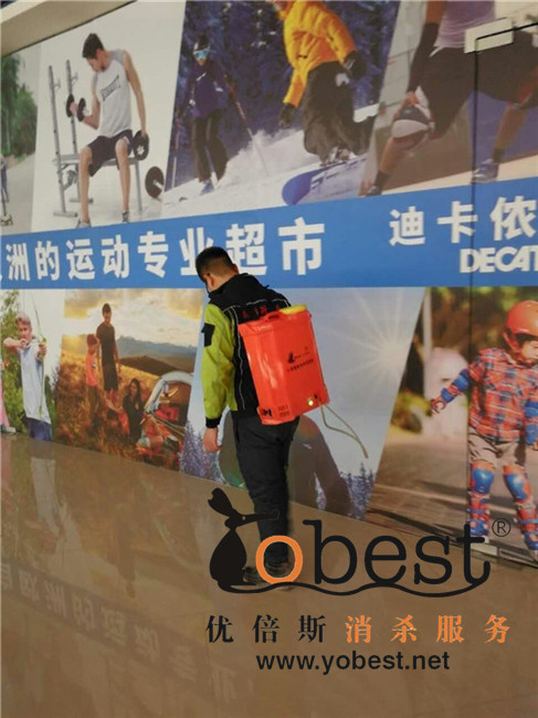 成功案例