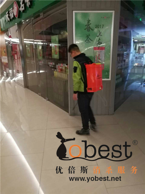 成功案例