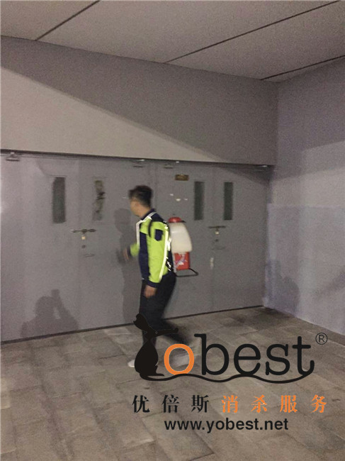 成功案例