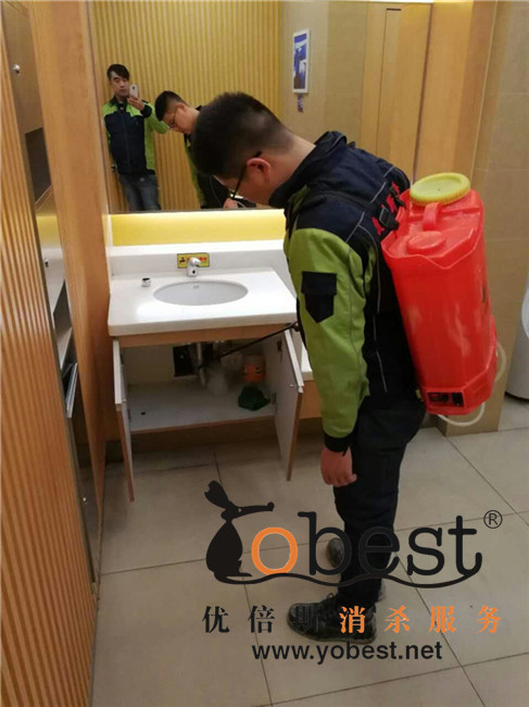 成功案例
