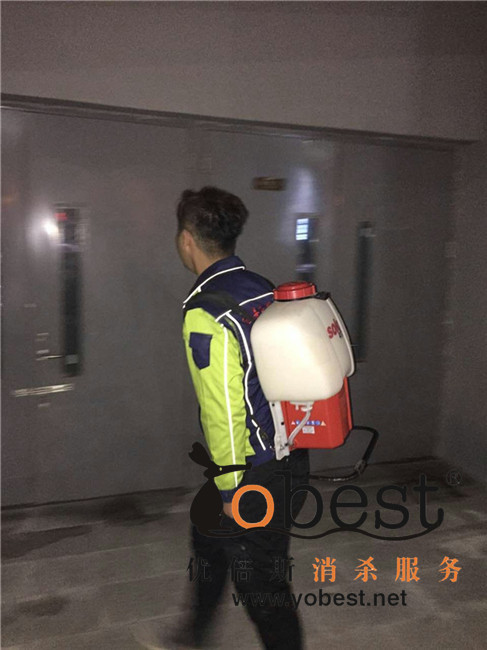 成功案例