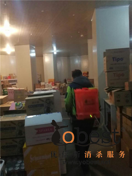 成功案例