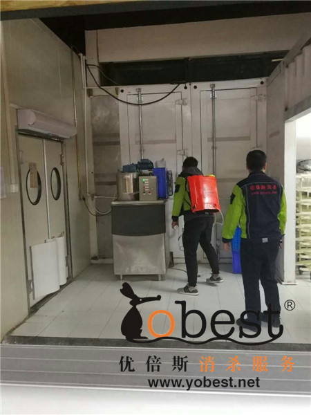 成功案例
