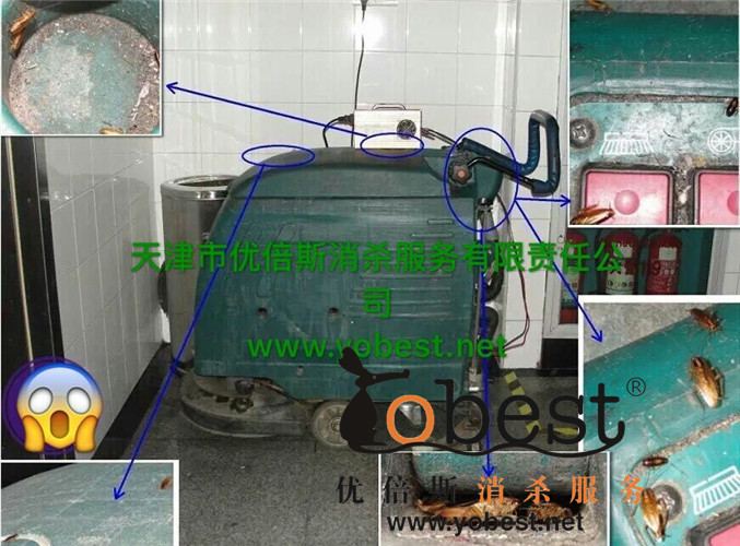 成功案例