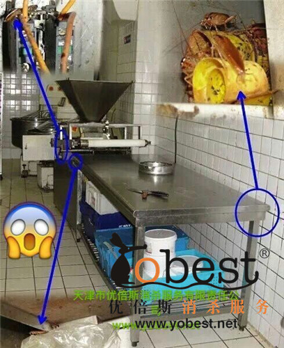 成功案例