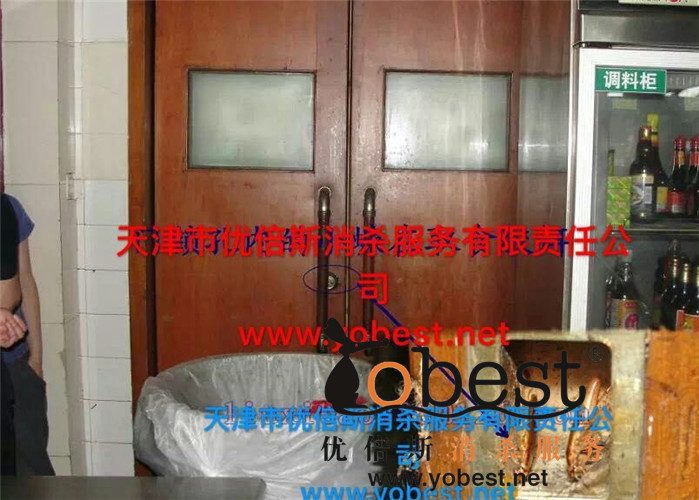 成功案例
