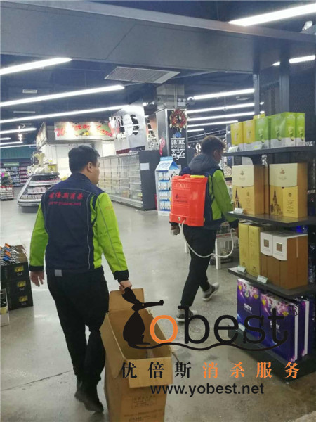 成功案例