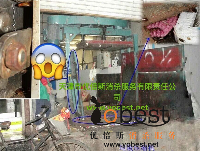 成功案例