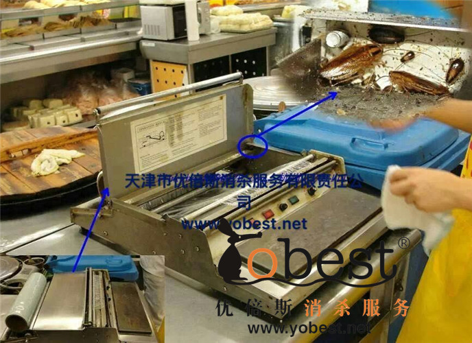 成功案例