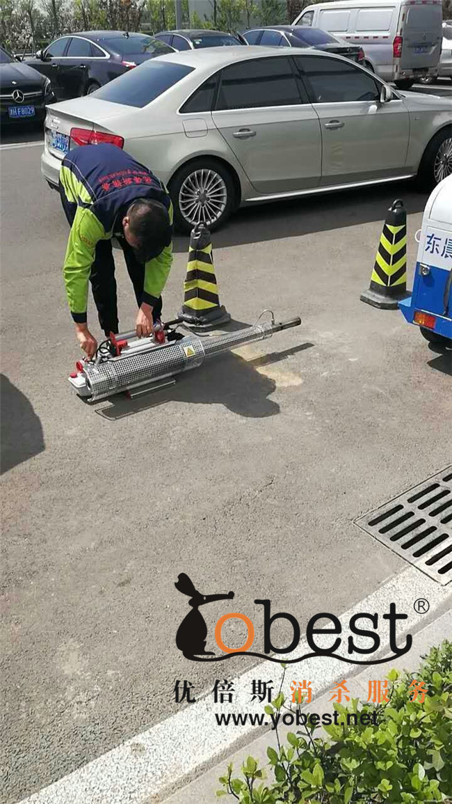 成功案例