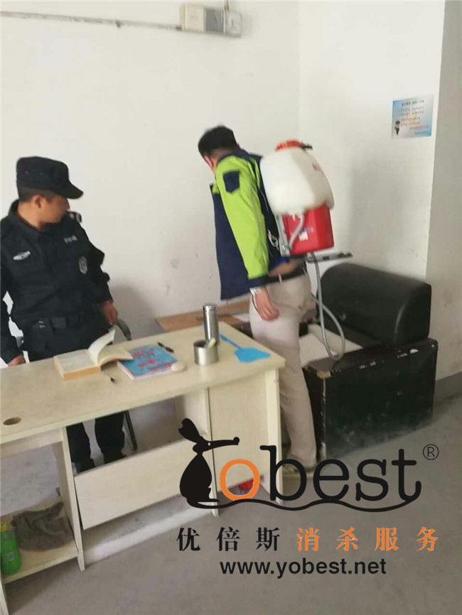 成功案例
